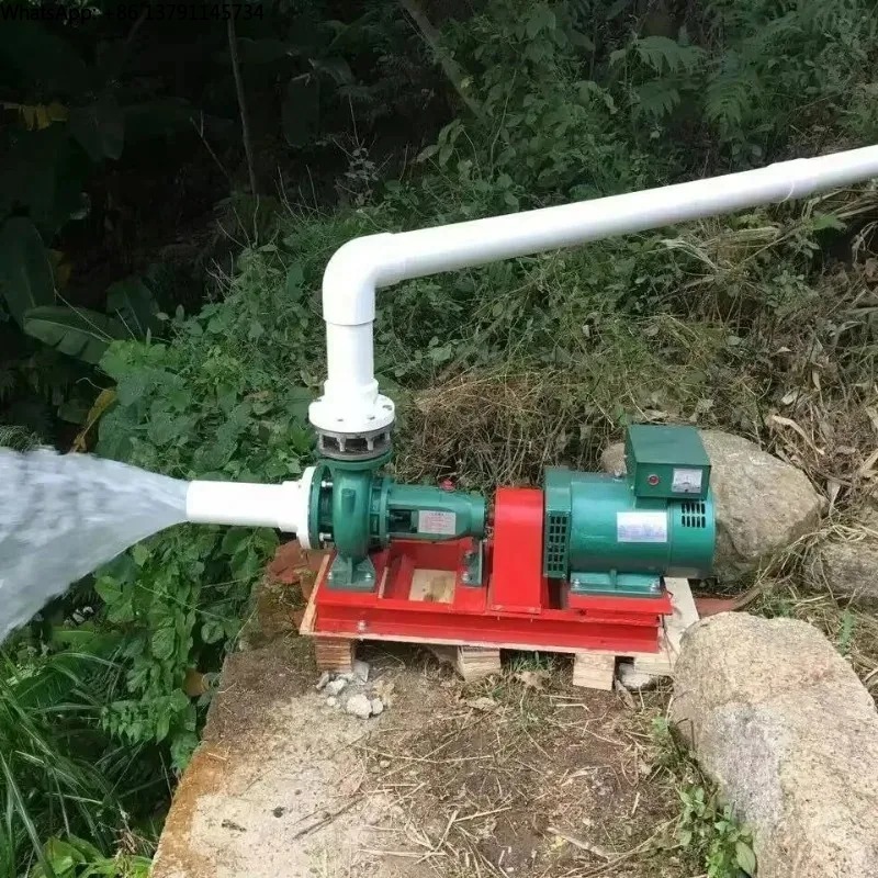 Mini-Wasserkraftgenerator 3KW  – Renewable Energy Hydro Bewertung und Preis