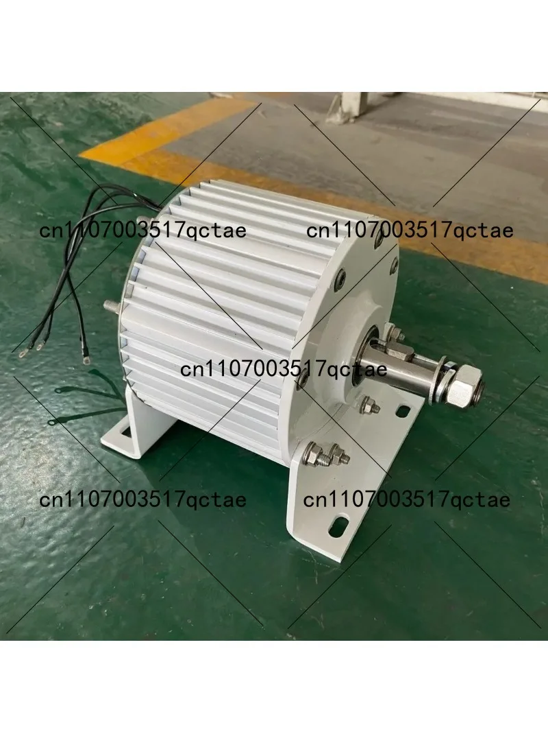 1KW 800W Dreiphasiger Bürstenl – Renewable Energy Hydro Bewertung und Preis